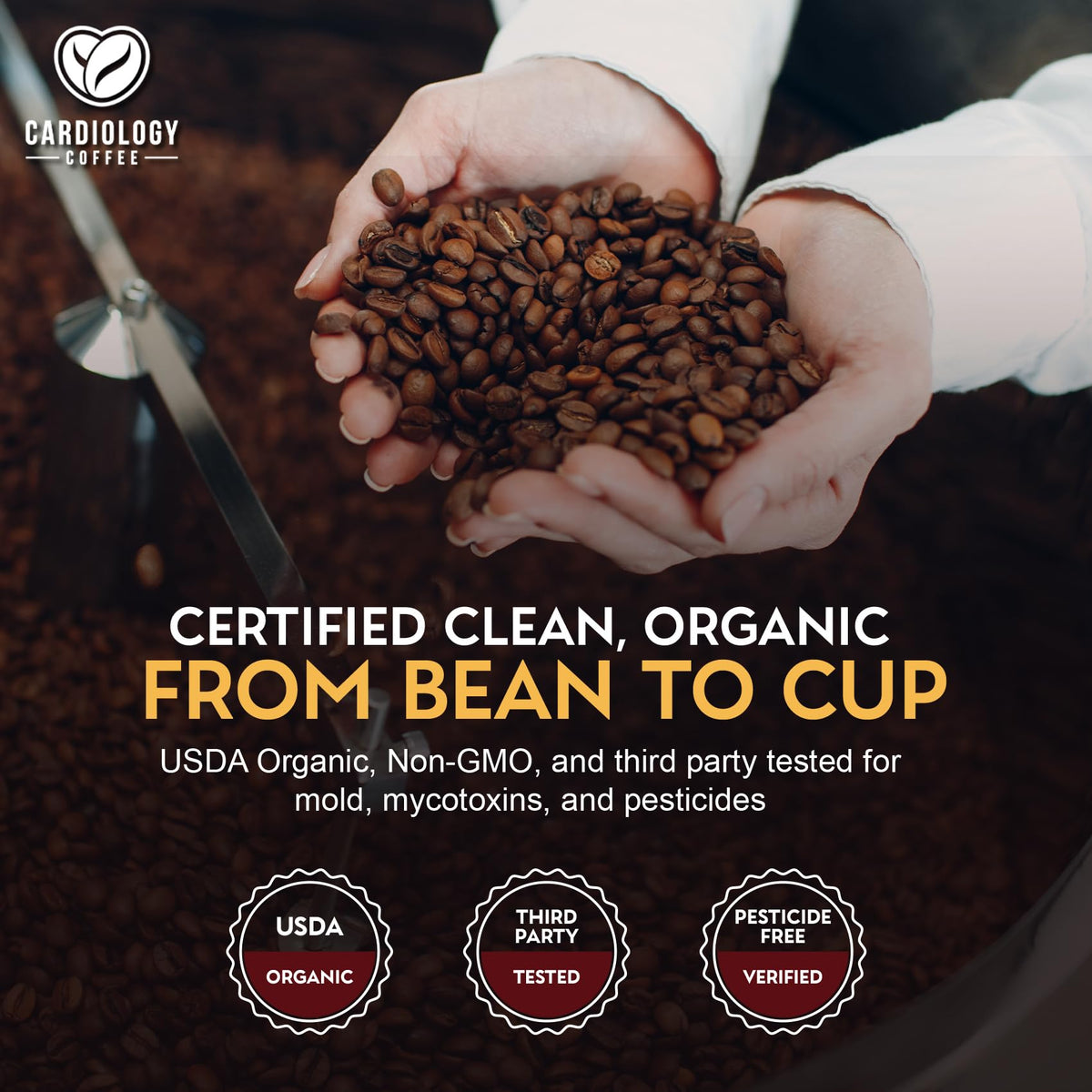 Cardiology Coffee – USDA Organic Mold-Free 12oz Whole Bean Light Roast