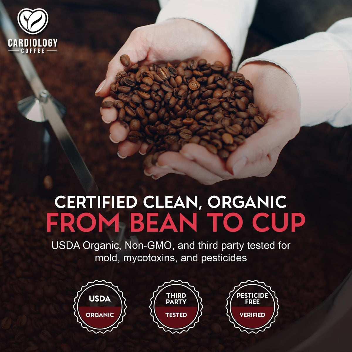 Cardiology Coffee – Whole Bean, USDA Organic, Mold-Free 12oz Medium Roast with Antioxidants for a Heart-Healthy Lifestyle
