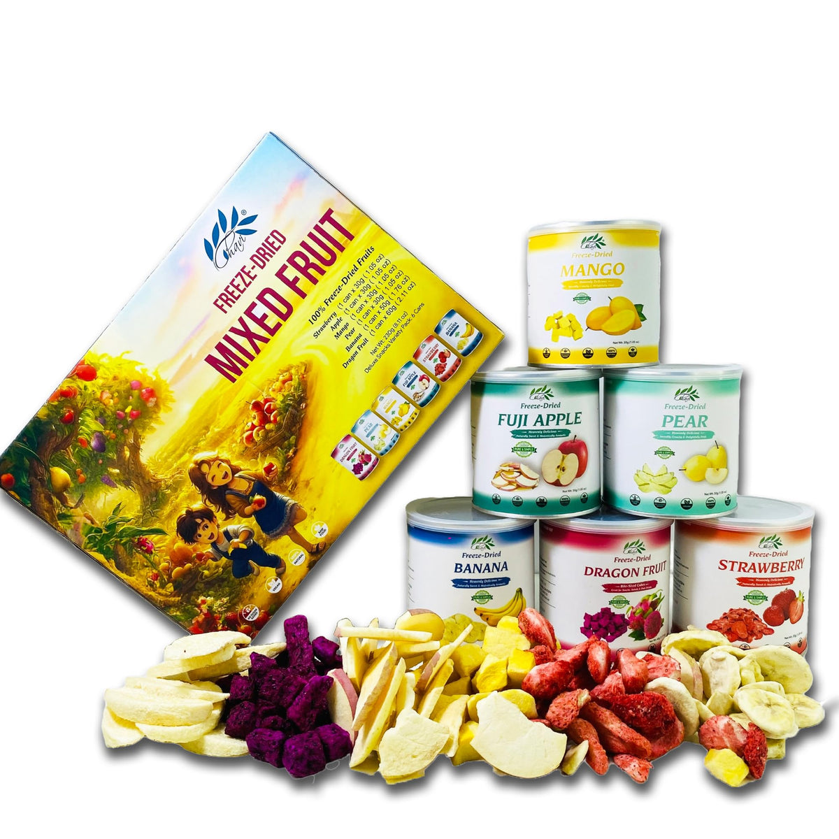 CHAVI Freeze Dried Fruits - Mixed 6-in-1 (6 Cans) Gift Box | No Added Sugars, Non-GMO, Vegan