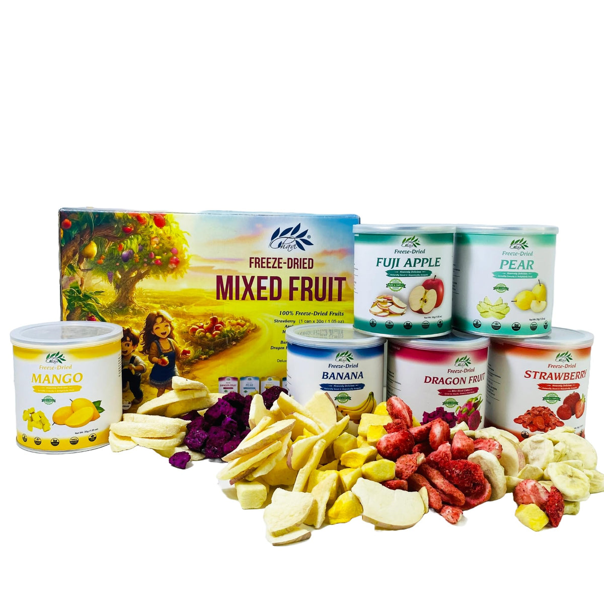 CHAVI Freeze Dried Fruits - Mixed 6-in-1 (6 Cans) Gift Box | No Added Sugars, Non-GMO, Vegan