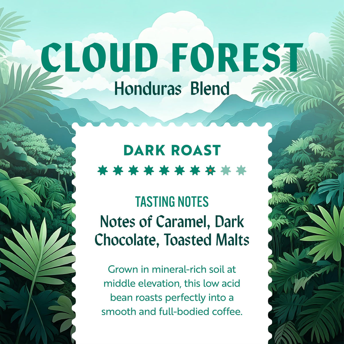 Clean Coffee Co. Low Acid Dark Roast – Honduras Blend, Ground, 12 oz