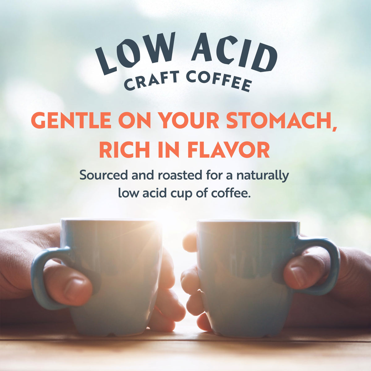 Clean Coffee Co. Papua New Guinea Blend – Low Acid Roast, Milk Chocolate & Roasted Almonds (Ground, 12 oz)