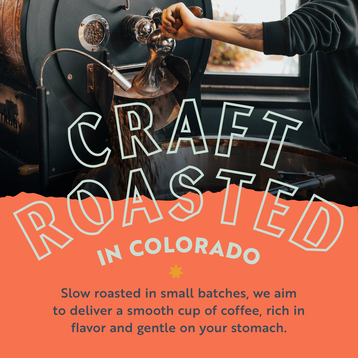 Clean Coffee Co. Papua New Guinea Low-Acid Roast – Mold & Toxin Tested, Milk Chocolate & Roasted Almonds