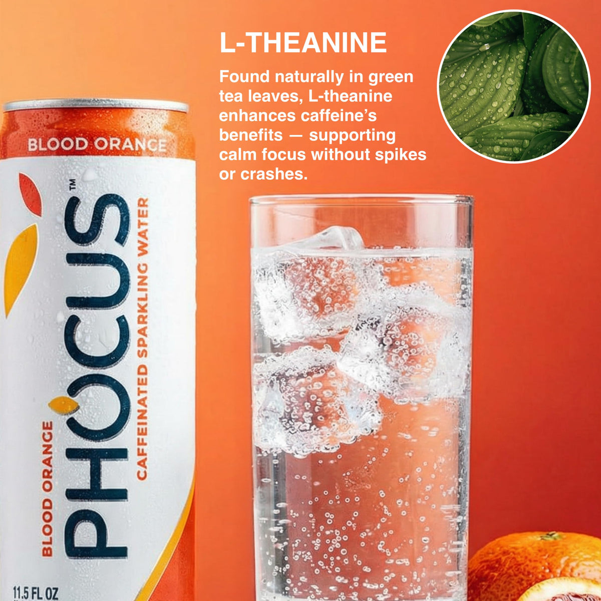 CLEAR CUT PHOCUS Blood Orange Sparkling Water – 75mg Caffeine + L-Theanine, Zero Sugar, 11.5 oz Cans (Pack of 12)
