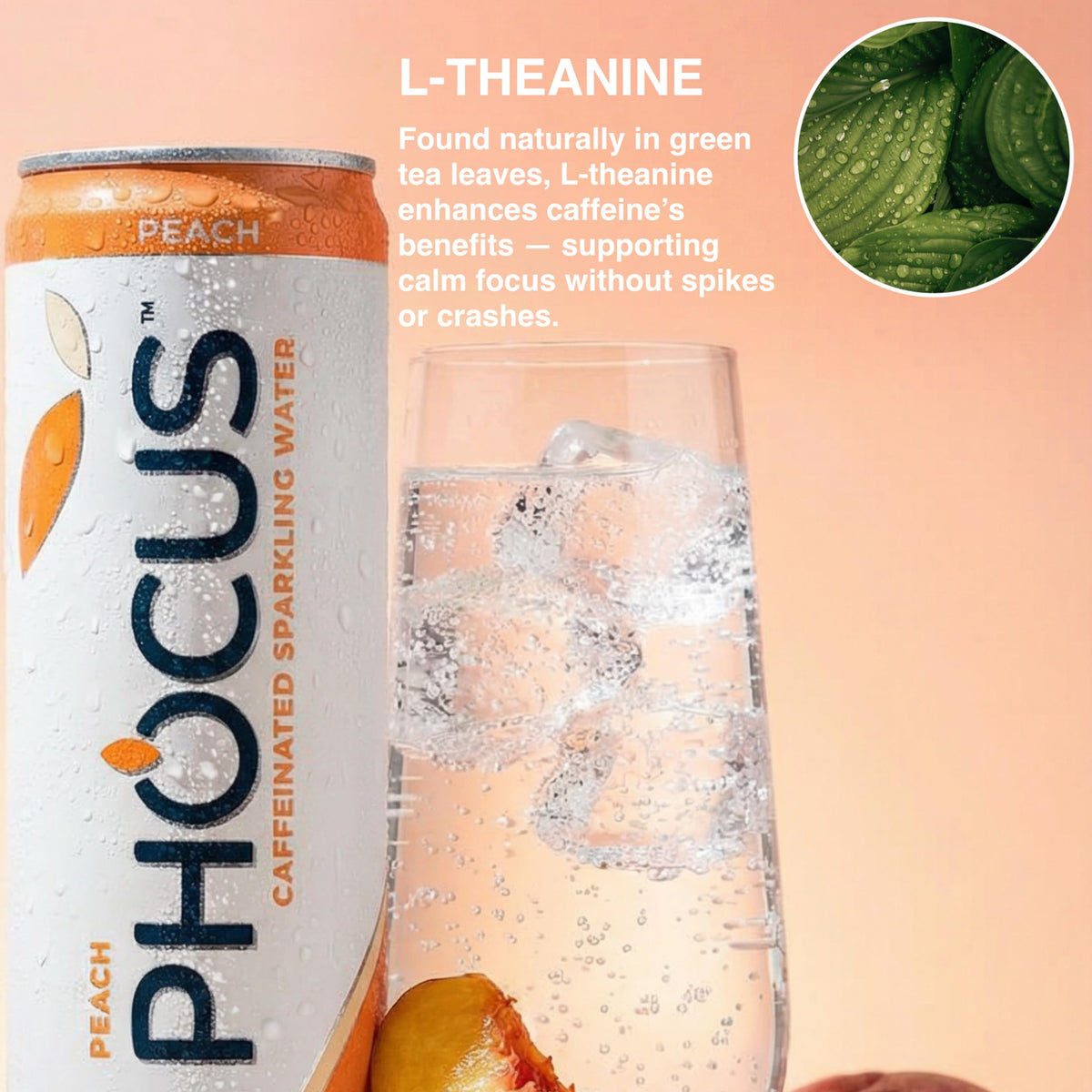 CLEAR CUT PHOCUS Peach Sparkling Water — 75mg Caffeine + L-Theanine, Zero Sugar, 12-Pack