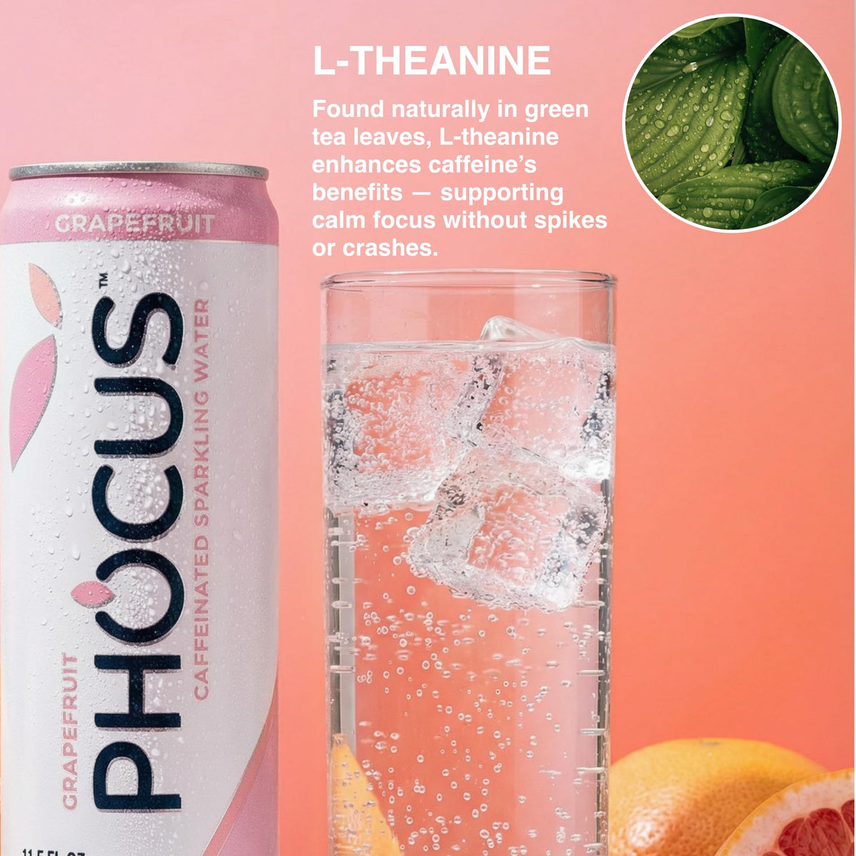 CLEAR CUT PHOCUS Grapefruit Sparkling Water: 75mg Caffeine, Zero Sugar, 12-Pack