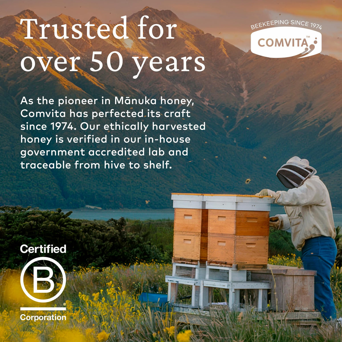 Comvita Manuka Honey UMF 10+ (MGO 263+) – Raw New Zealand Monofloral Honey, 250g