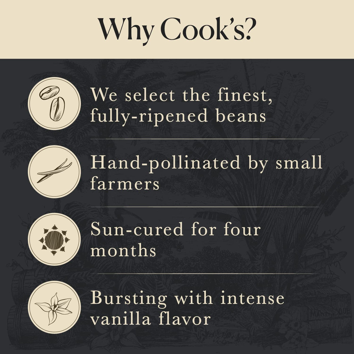 COOK'S 25 Organic Madagascar Vanilla Beans – Grade A Pods, Certified Organic for Extract & Baking