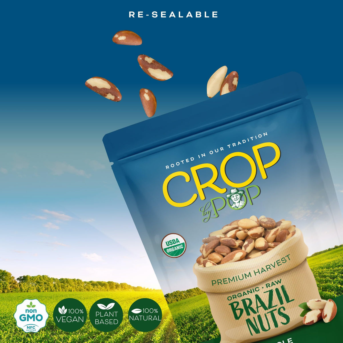 Nut Cravings CROP BY POP Organic Brazil Nuts (32 oz) – Fresh, Non-GMO, Kosher, Vegan