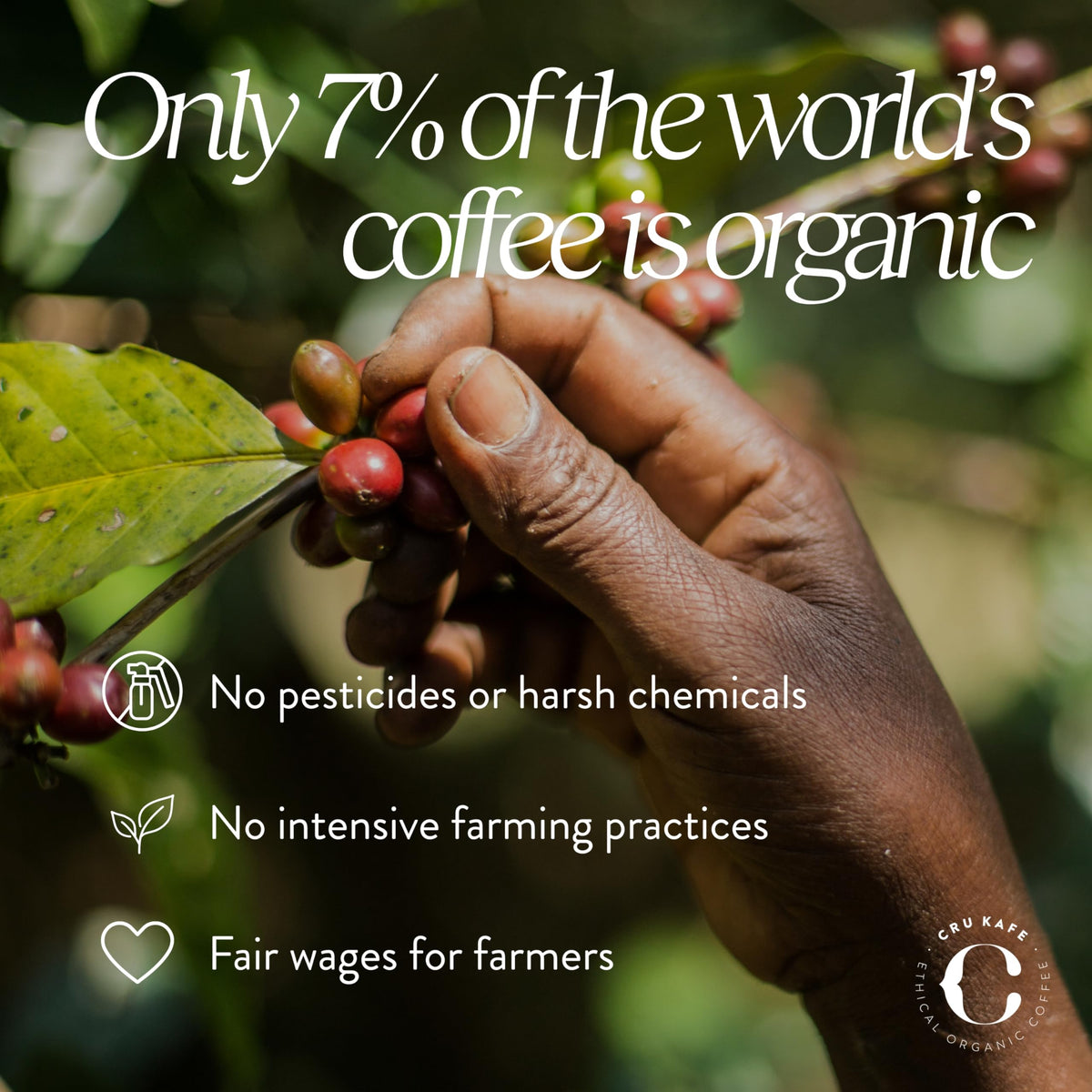 Cru Kafe Discovery Set Organic Coffee Pods – 50 Pods (5 Packs of 10) for Nespresso OriginalLine, Fairtrade & Soil Association Certified
