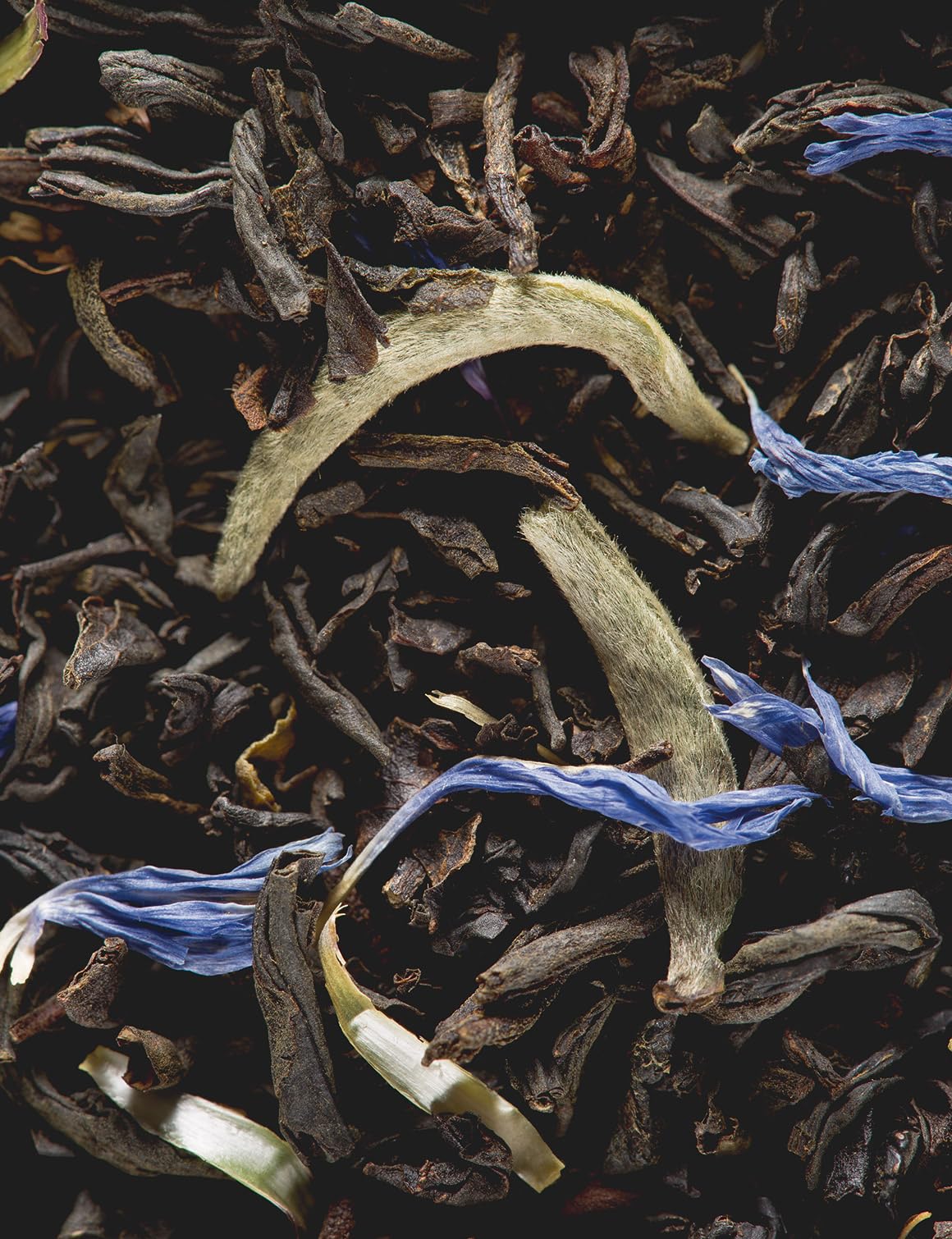 Dammann Freres Earl Grey Yin Zhen Tea Bags – Premium French Black Tea, Bergamot, 24 Sachets