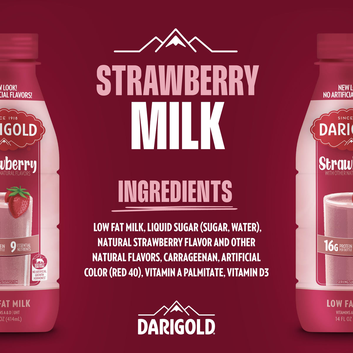 Darigold Strawberry 1 Percent Milk – Shelf-Stable 14oz, 12 Pack, 16g Protein, 9 Essential Nutrients, rbST-Free