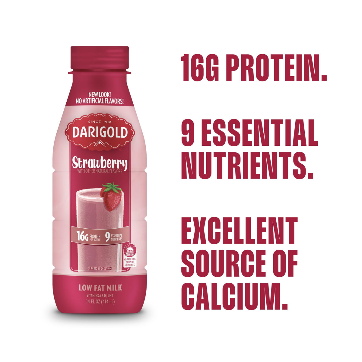 Darigold Strawberry 1 Percent Milk – Shelf-Stable 14oz, 12 Pack, 16g Protein, 9 Essential Nutrients, rbST-Free
