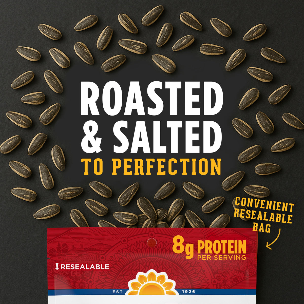 David Roasted & Salted Sweet & Spicy Jumbo Sunflower Seeds | Keto Friendly 12 Pack