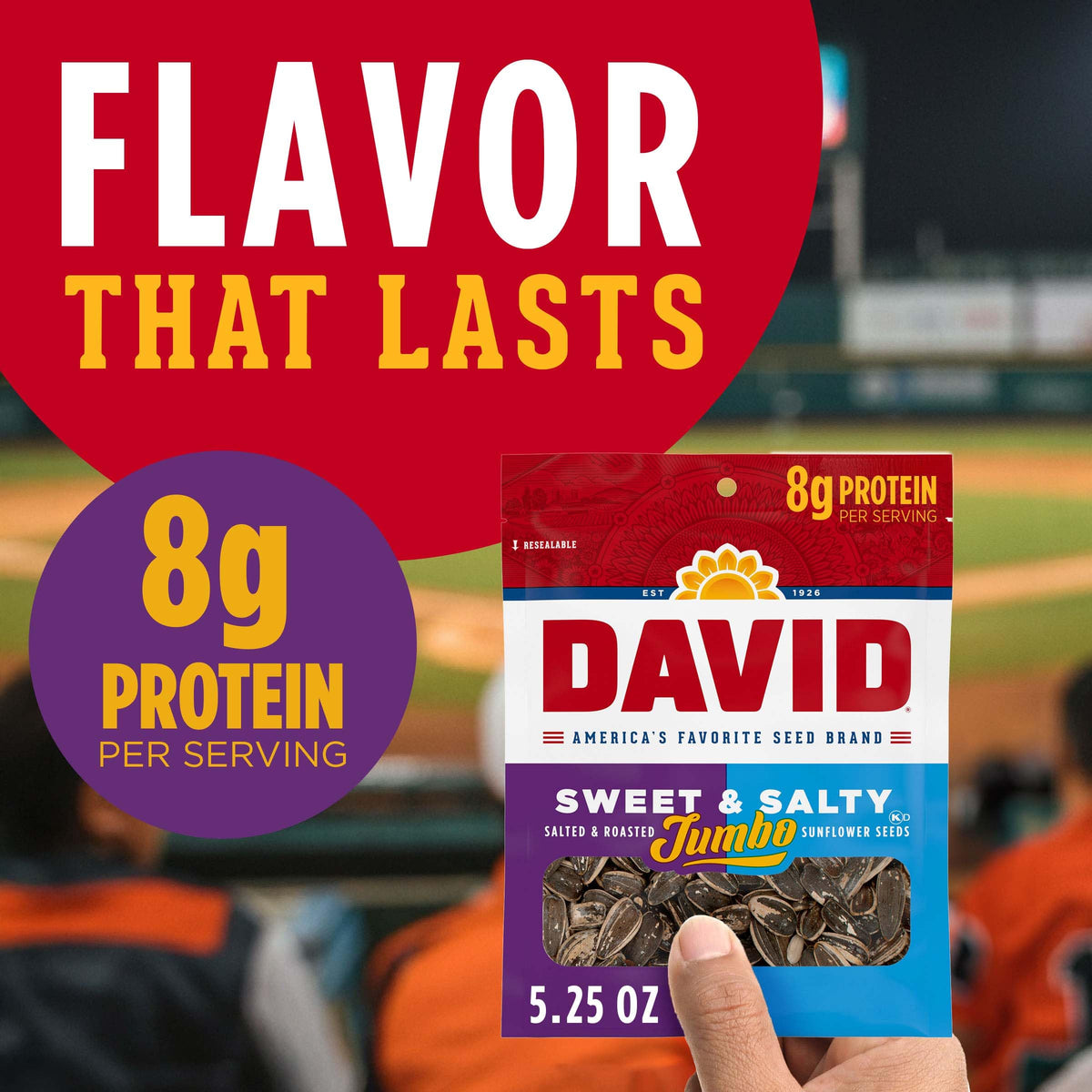 DAVID Sweet & Salty Jumbo Sunflower Seeds – 12-Pack, 5.25 oz Each | Keto Friendly