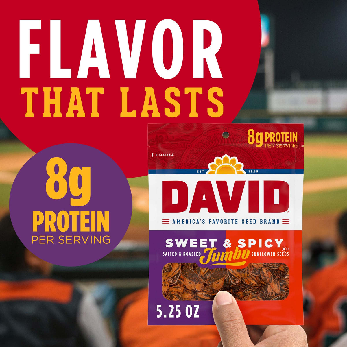 David Roasted & Salted Sweet & Spicy Jumbo Sunflower Seeds | Keto Friendly 12 Pack