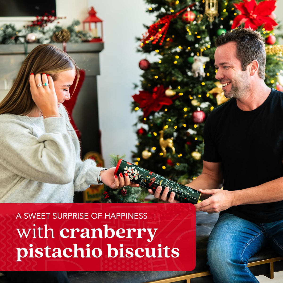 David’s Cookies Cranberry Pistachio Biscuits – Gourmet 2-Pack Gift Box