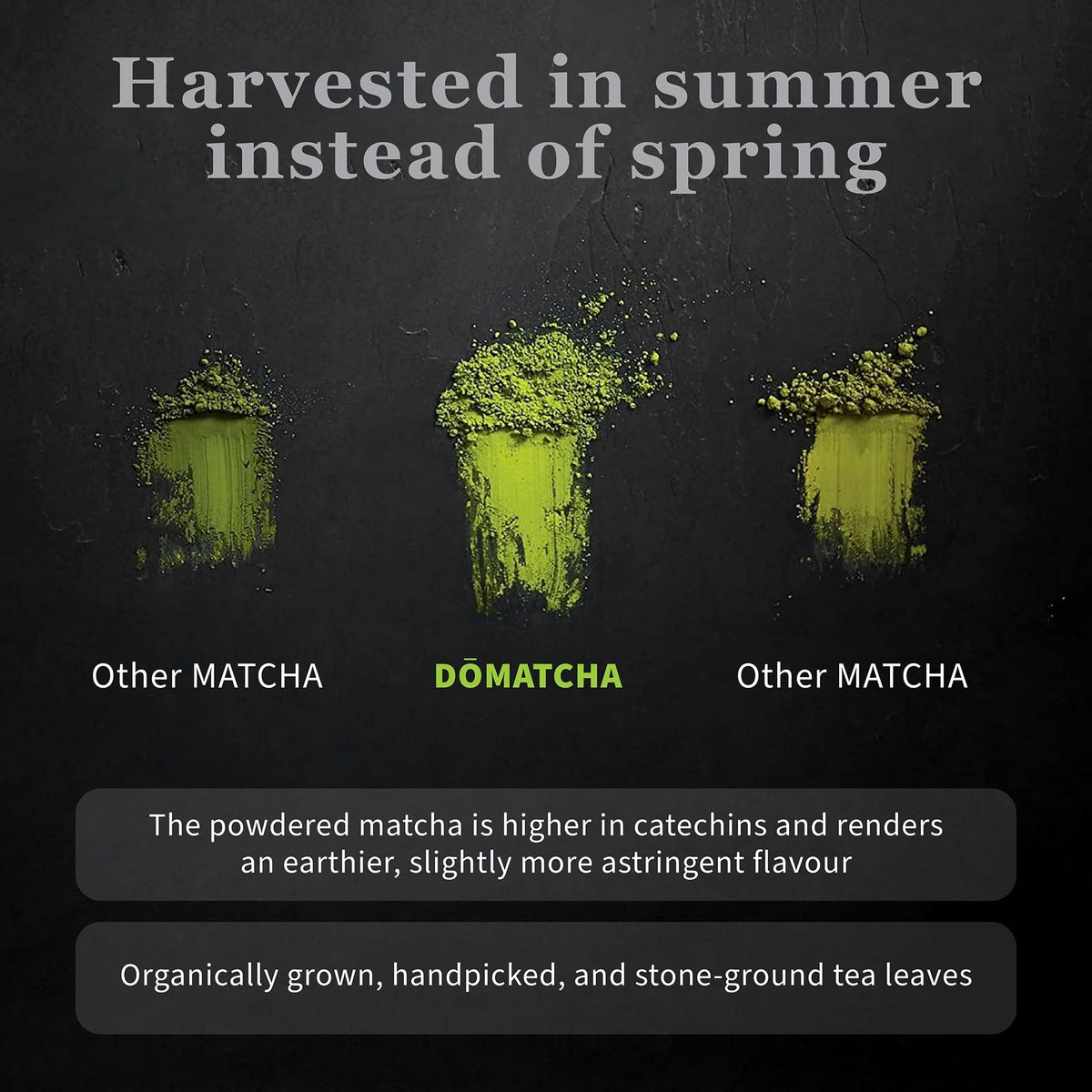 DoMatcha Organic Summer Harvest Matcha Powder – Latte Grade, Authentic Japanese Green Tea, 2.82 oz