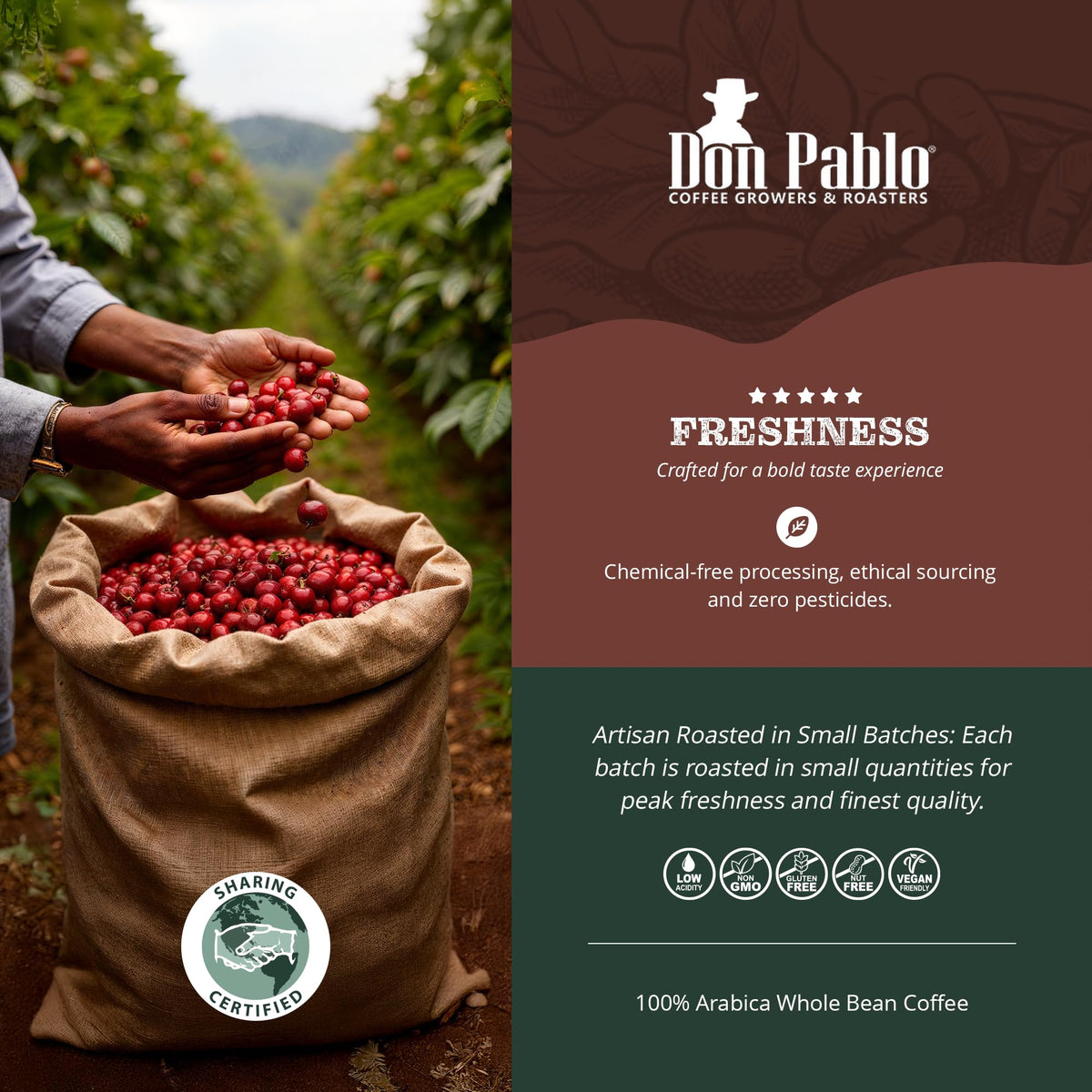 Don Pablo Signature Blend - Limited Edition Dark Roast Coffee, 2 lb Whole Bean