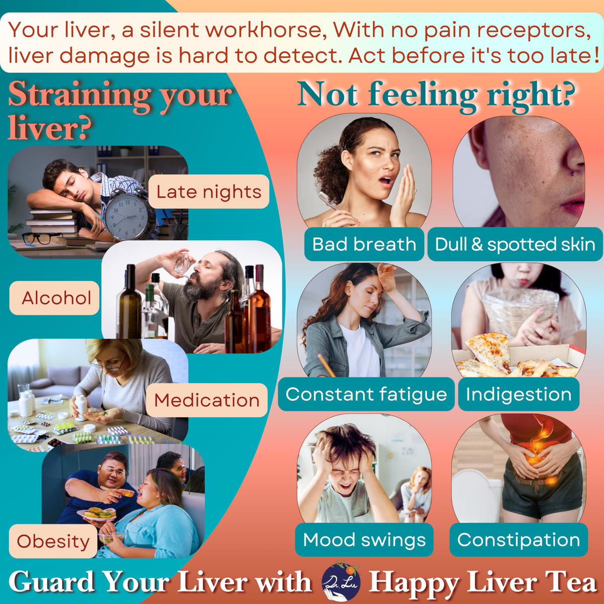 Dr. Lu’s Happy Liver Tea – 100% Natural Liver Support Herbal Blend (11 Herbs)