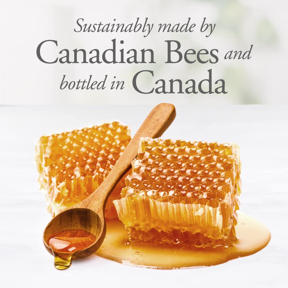 Dutchman's Gold Raw Honey 6.6 lbs – Unfiltered, Non-Pasteurized, Kosher