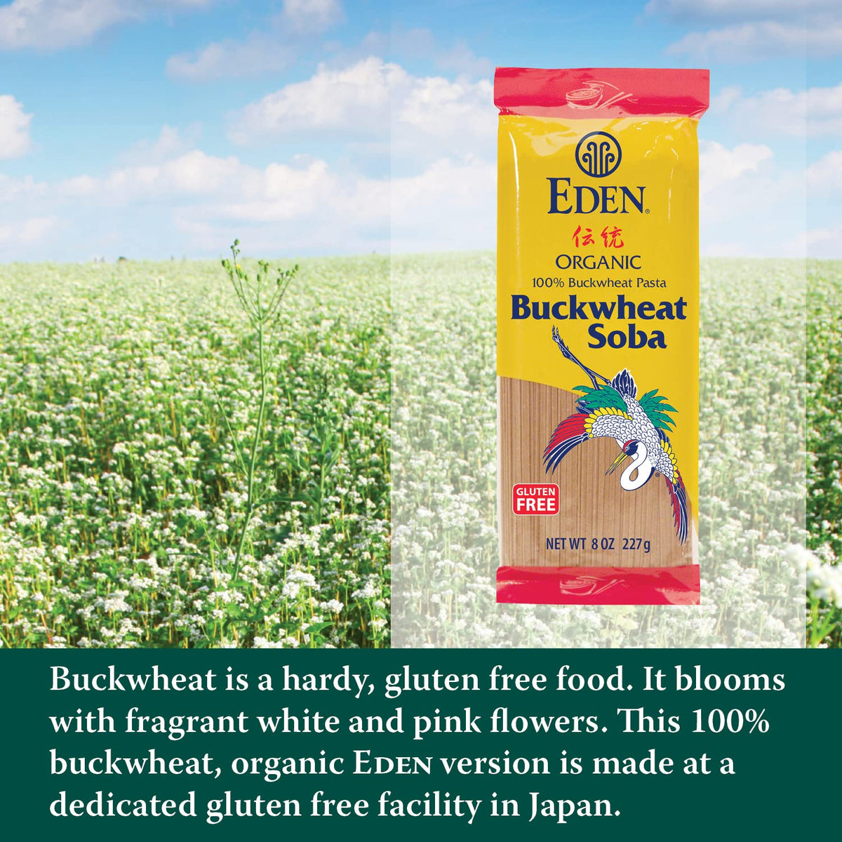 Eden 100% Organic Buckwheat Soba Pasta — Gluten Free, Traditionally Made in Japan, 3-Pack