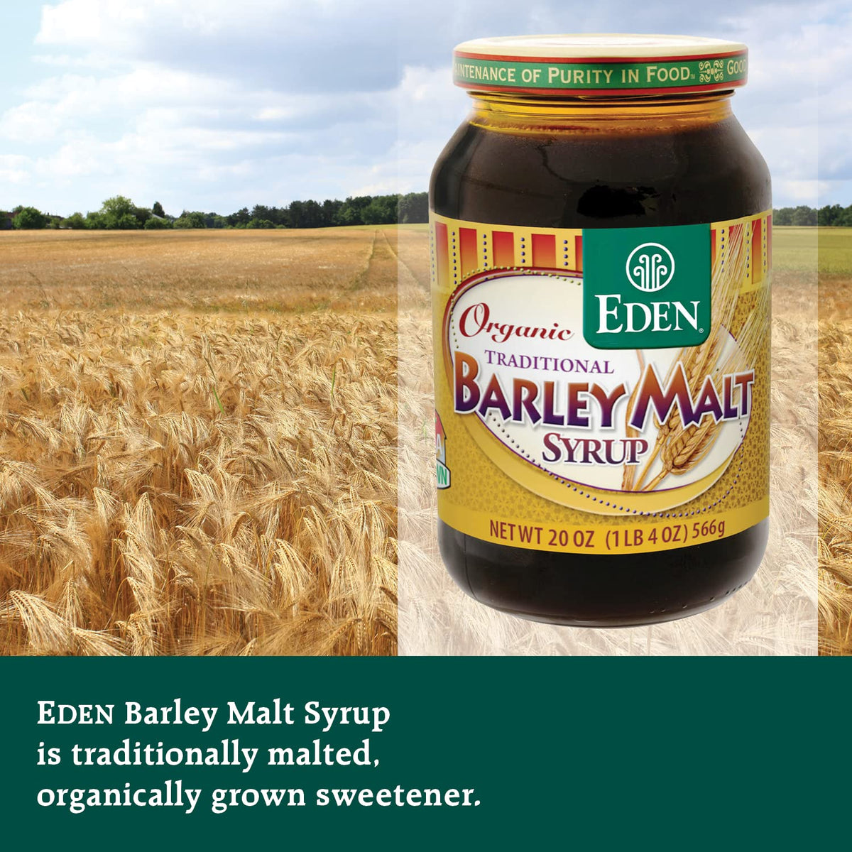 Eden Foods Organic Barley Malt Syrup 20oz Pack of 3 | Versatile Non-Diastatic Sweetener