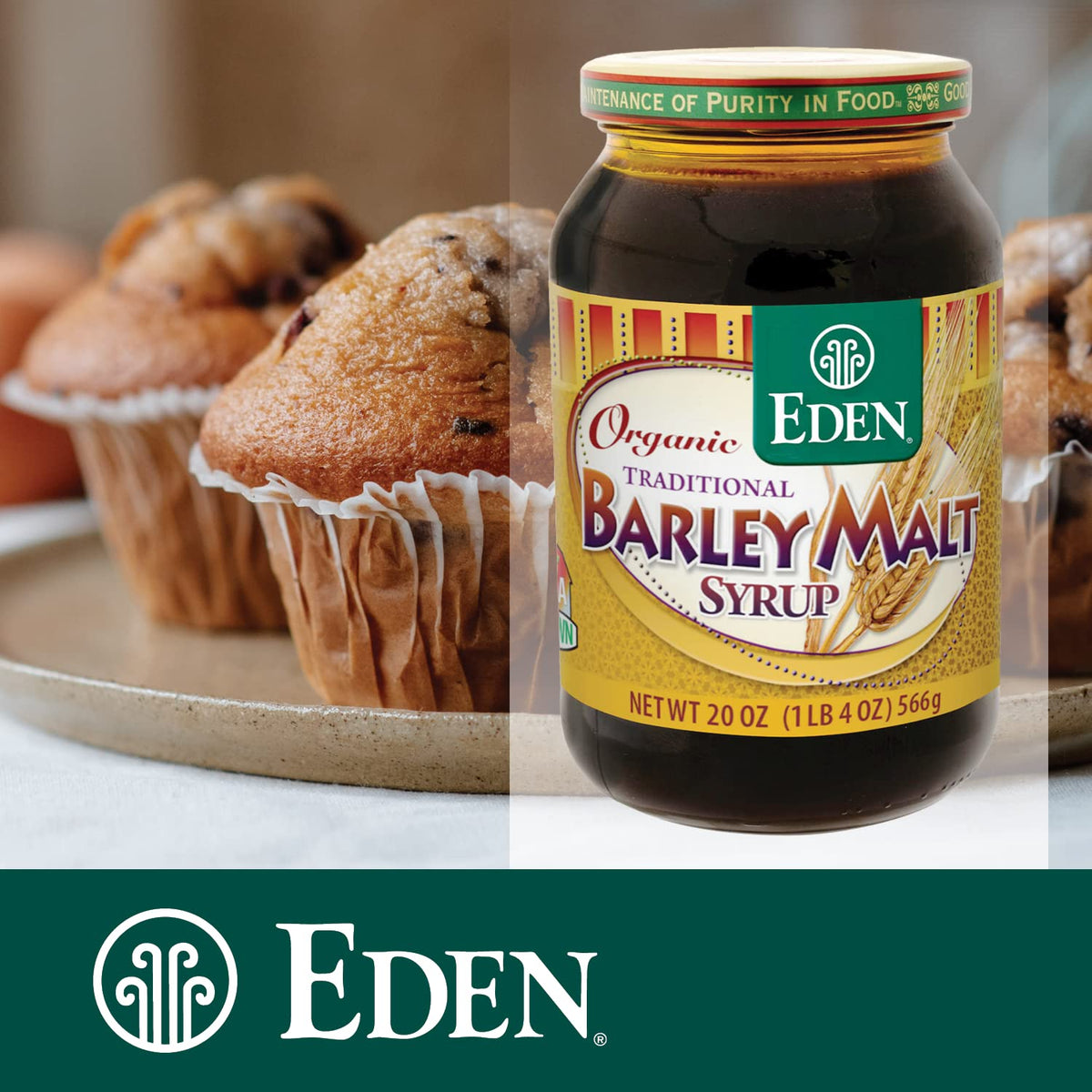 Eden Foods Organic Barley Malt Syrup 20oz Pack of 3 | Versatile Non-Diastatic Sweetener