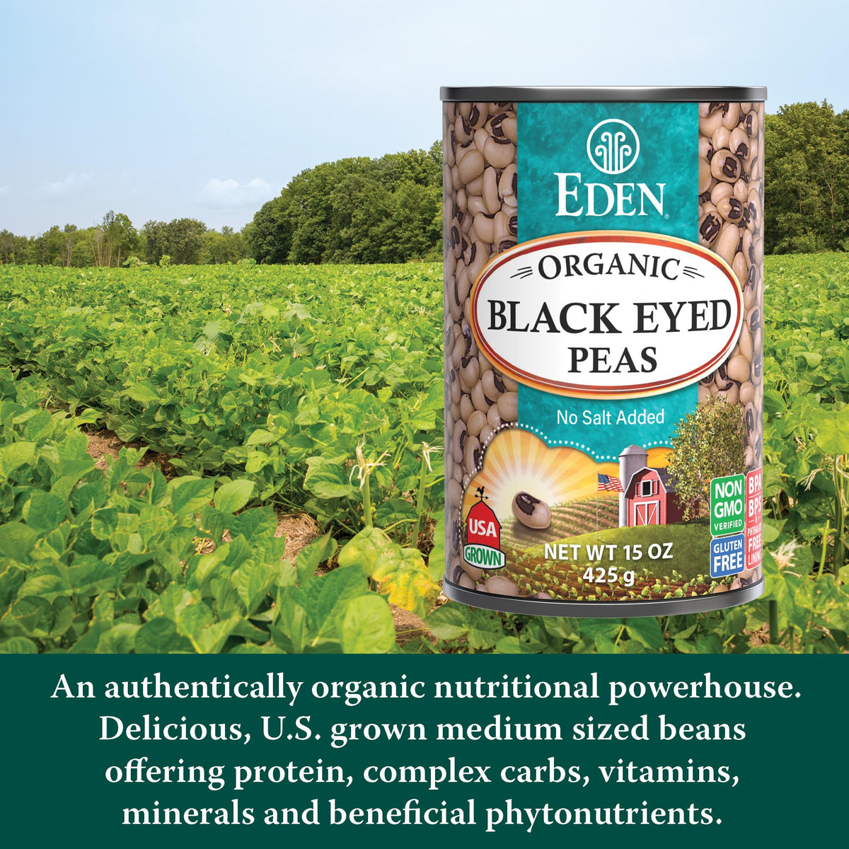 Eden Organic Black Eyed Peas - No Salt Added, 15oz Cans (Pack of 12)