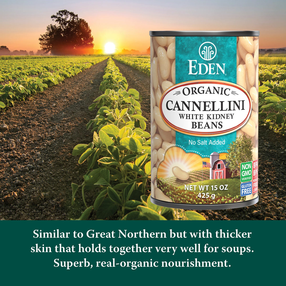 Eden Organic Cannellini White Kidney Beans – No Salt Added, 15 oz Cans (Pack of 12)