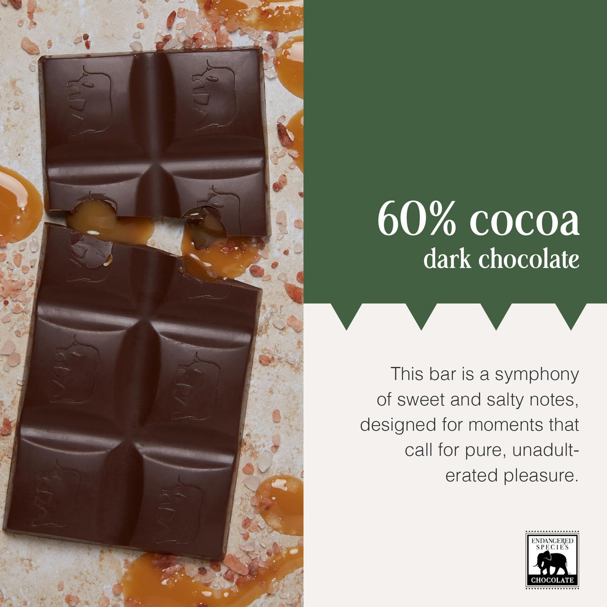 Endangered Species Dark Chocolate Bar with Caramel & Sea Salt – 60% Cocoa
