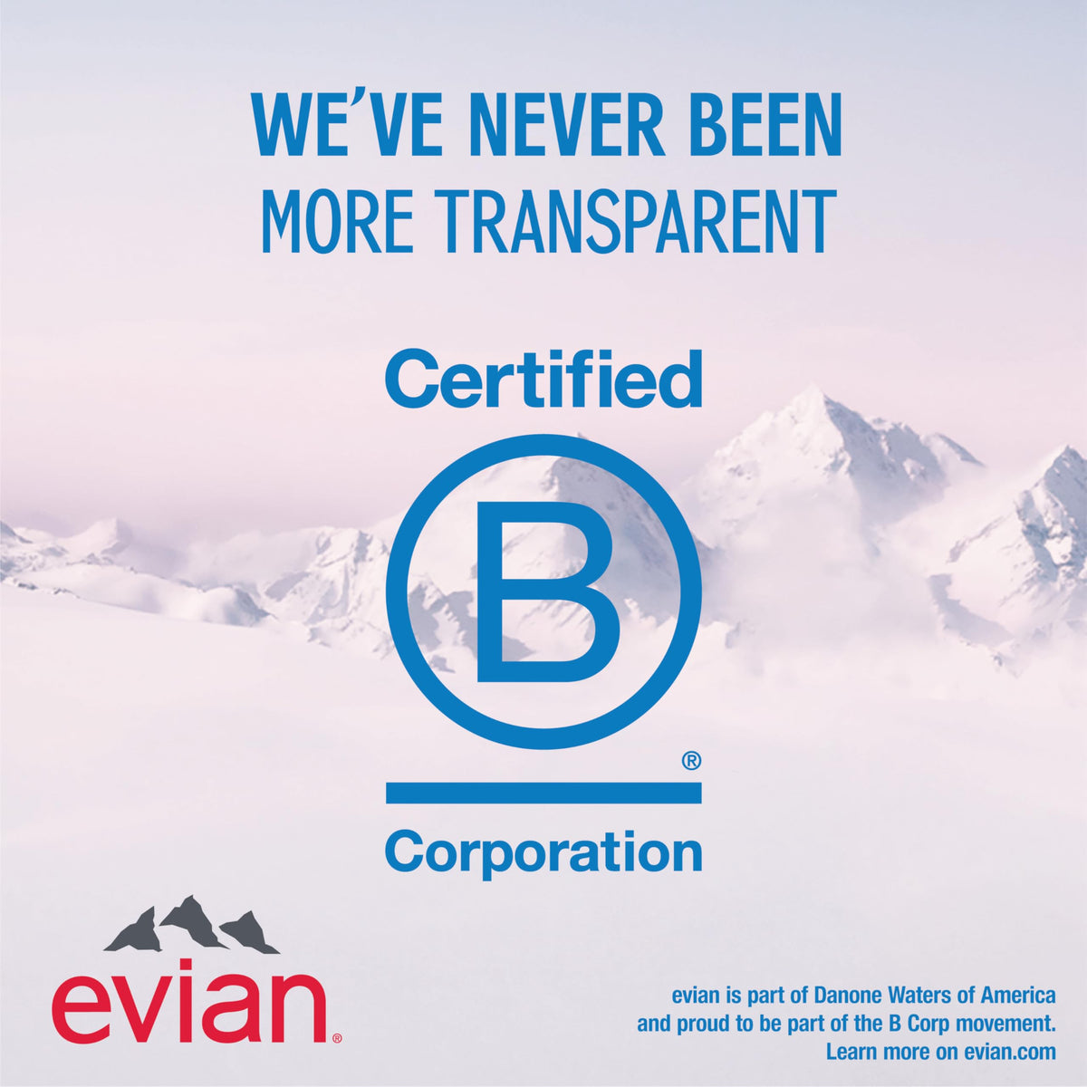 Evian Natural Spring Water 1 L Bottle (12 Pack) | Alpine Purity & Balanced Hydration