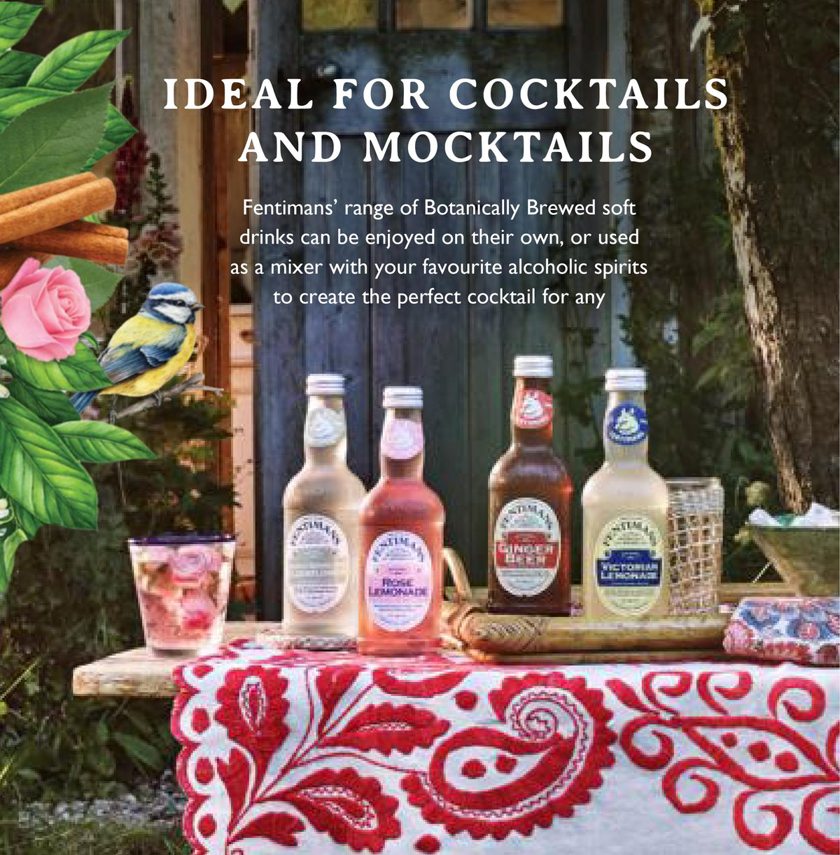 Fentimans Sparkling Curiosity Cola – All-Natural Craft Soda, Botanically Brewed, 275 ml (Pack of 12)