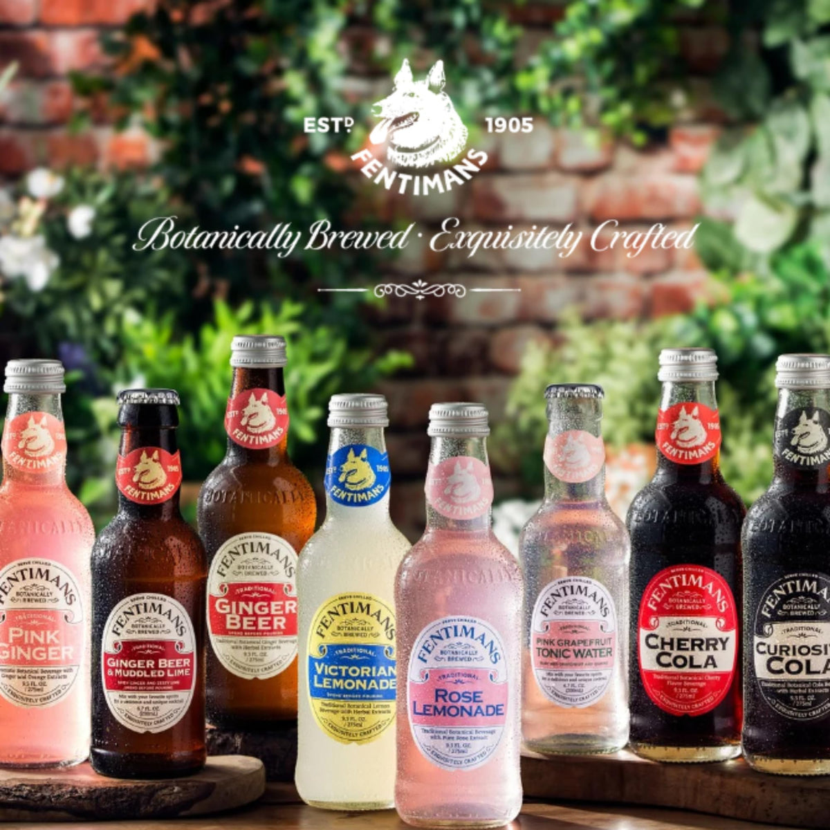 Fentimans Sparkling Victorian Lemonade – All-Natural, Botanically Brewed Lemon Soda (9.3 fl oz, Pack of 12)