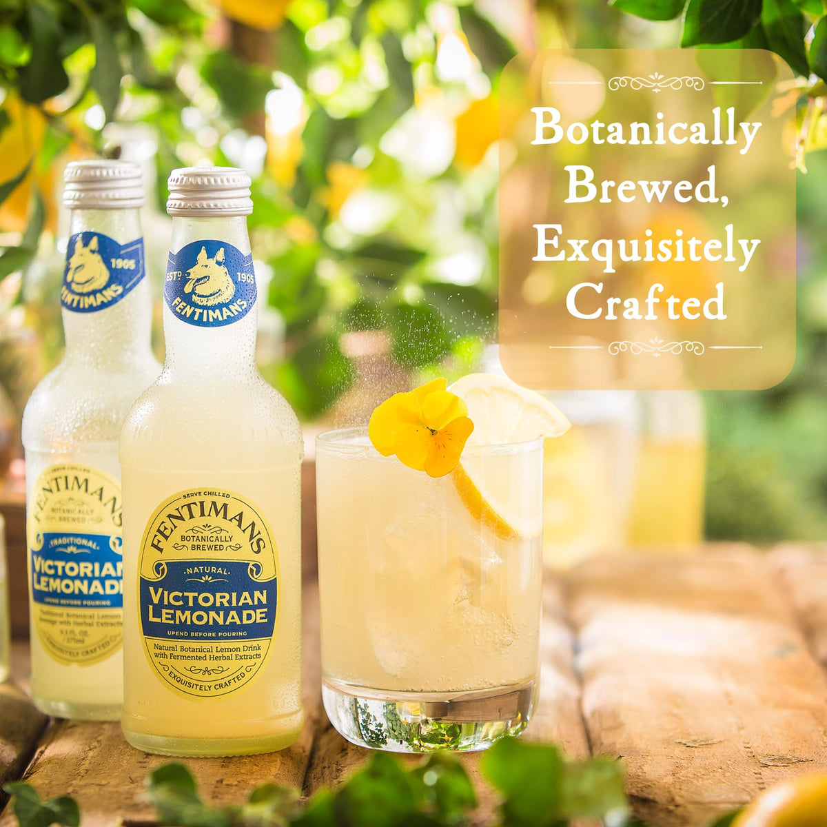 Fentimans Sparkling Victorian Lemonade – All-Natural, Botanically Brewed Lemon Soda (9.3 fl oz, Pack of 12)