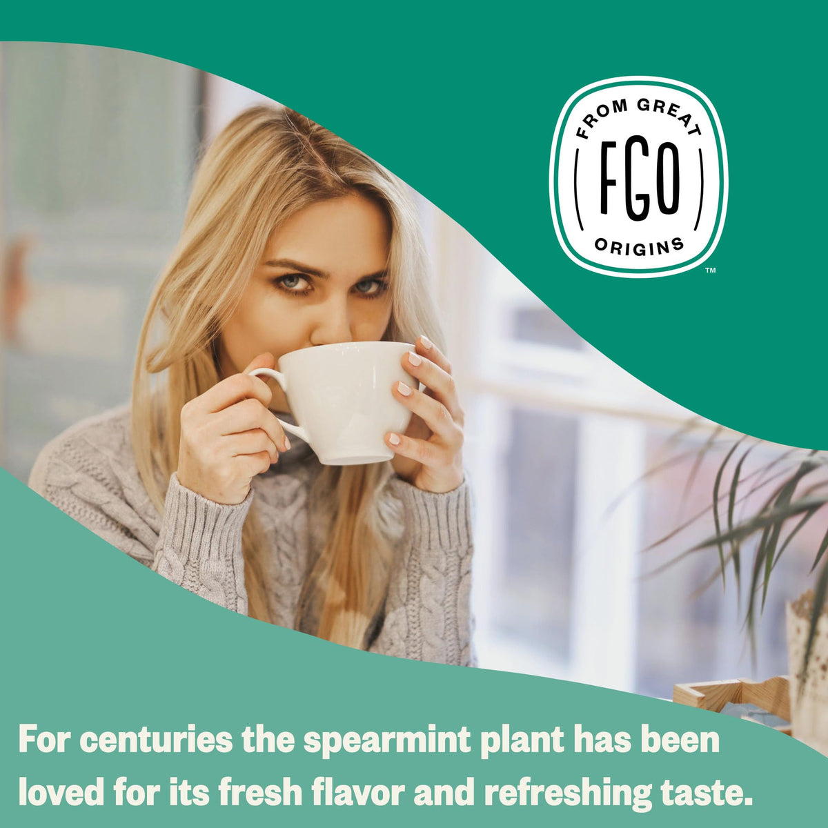 FGO Organic Spearmint Leaf Tea – 100 Count, Caffeine Free, Eco-Conscious Tea Bags, Pack of 1
