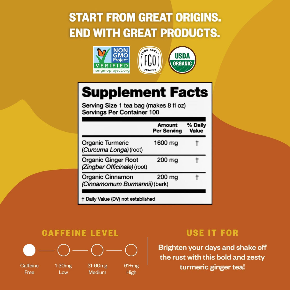 FGO Organic Turmeric Ginger Tea — 100 Eco-Conscious Bags, Packaging May Vary, Pack of 1, USDA Organic & Non-GMO