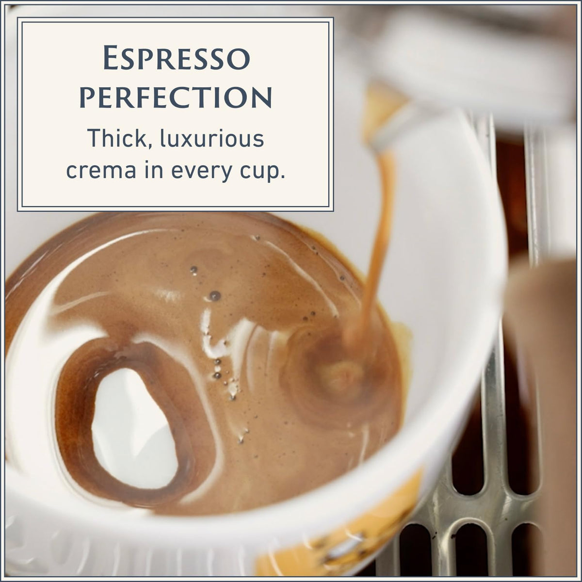 Filicori Zecchini Forte Italian Espresso Beans – Bold Dark Roast, Whole Bean, 2.2lb