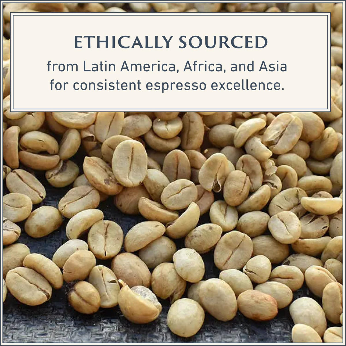 Filicori Zecchini Forte Italian Espresso Beans – Bold Dark Roast, Whole Bean, 2.2lb
