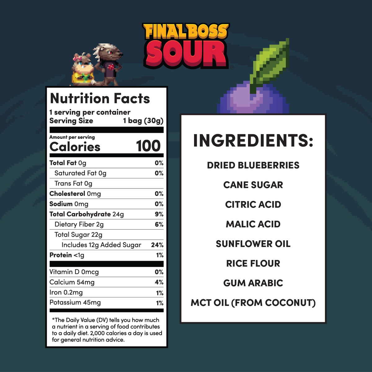 Final Boss Sour Blueberry Level 3 – 10 Pack, Real Dried Fruit, Clean Label