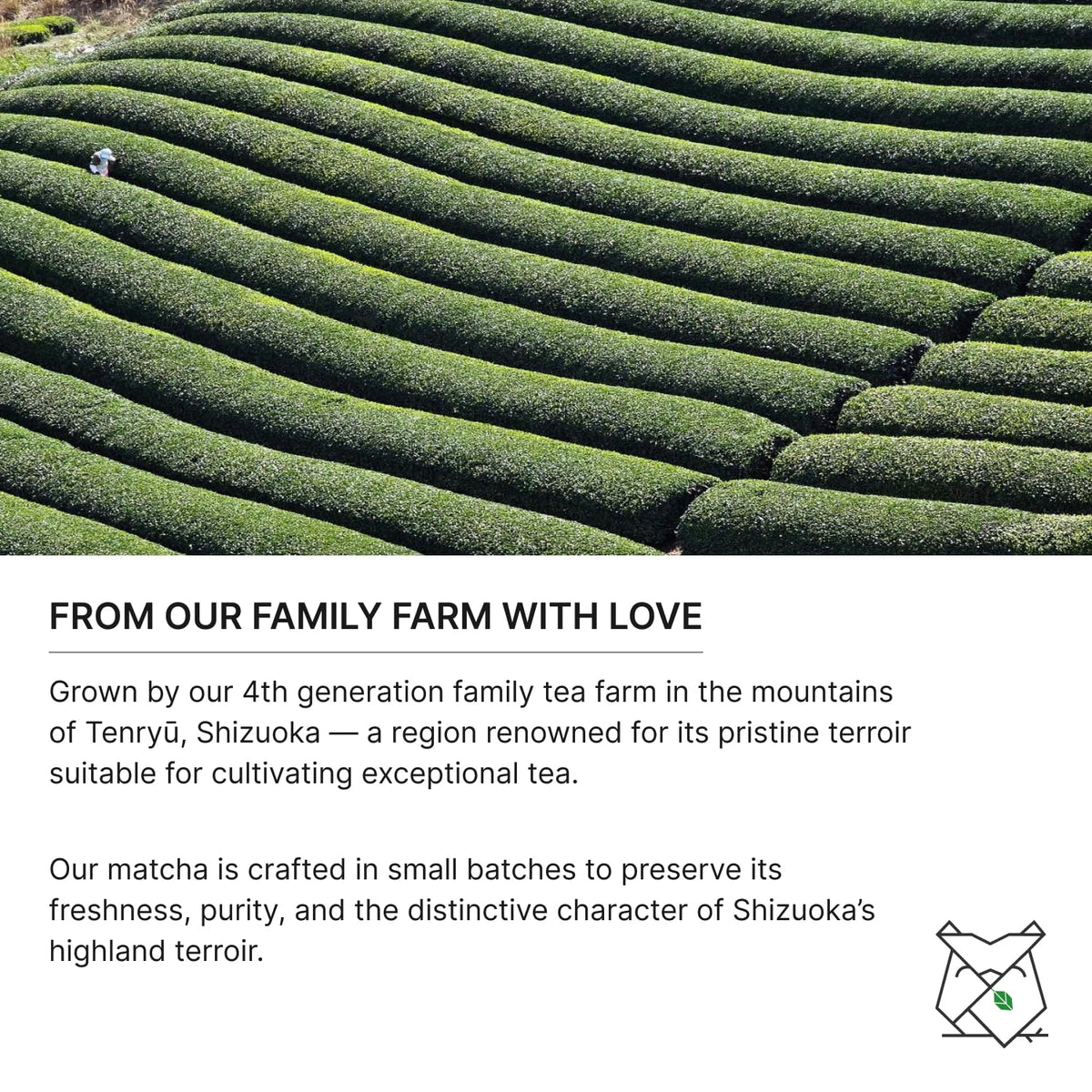 FKRO Organic Ceremonial Grade Matcha — Saemidori, 1st Harvest, Single Origin | Fresh Monthly 30g Tin