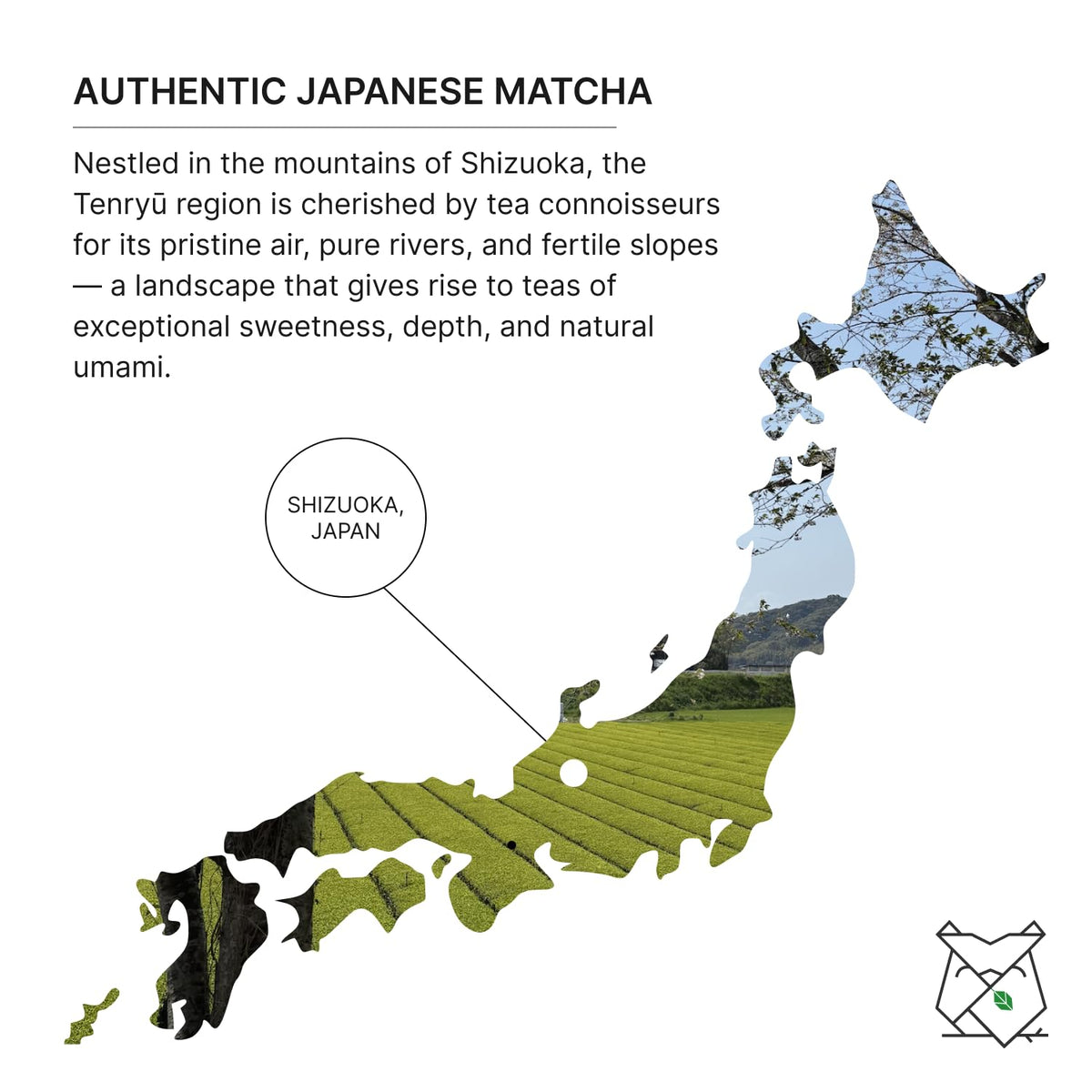 FKRO Organic Ceremonial Grade Matcha — Saemidori, 1st Harvest, Single Origin | Fresh Monthly 30g Tin