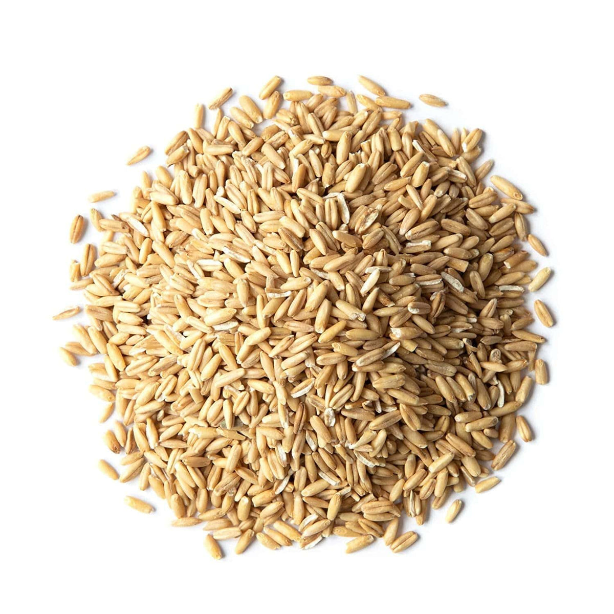 Food to Live Organic Oat Groats – 5 lb Bulk, Whole Grain, Non-GMO, Kosher
