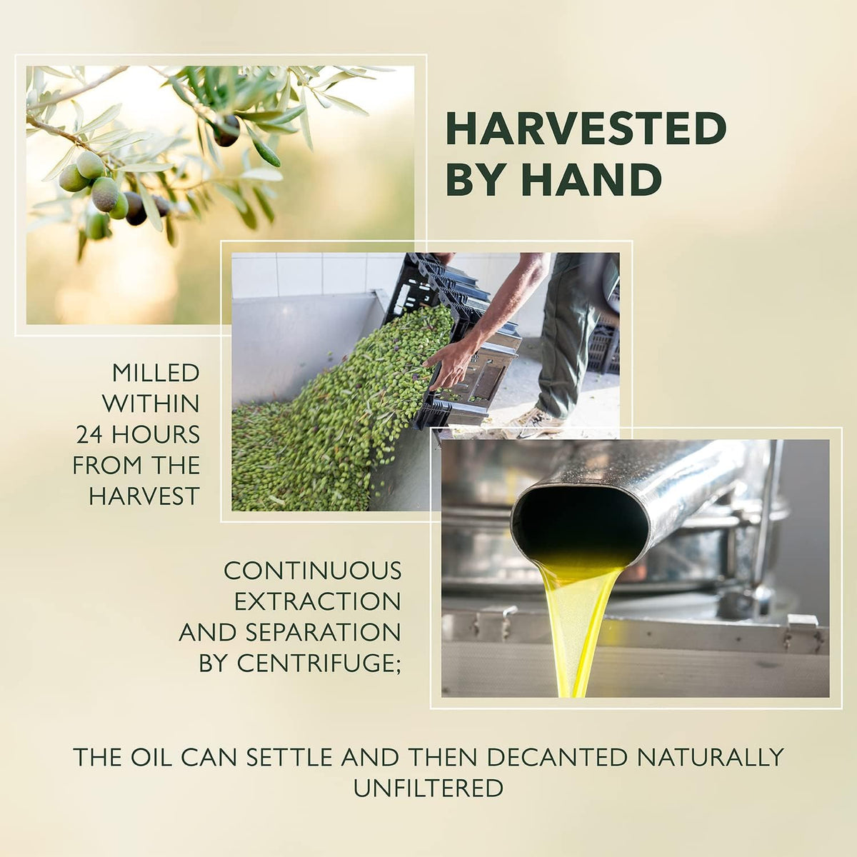 Frantoia Extra Virgin Olive Oil – Award-Winning Sicilian EVOO (3L Tin) with Biancolilla, Nocellara del Belice & Cerasuola