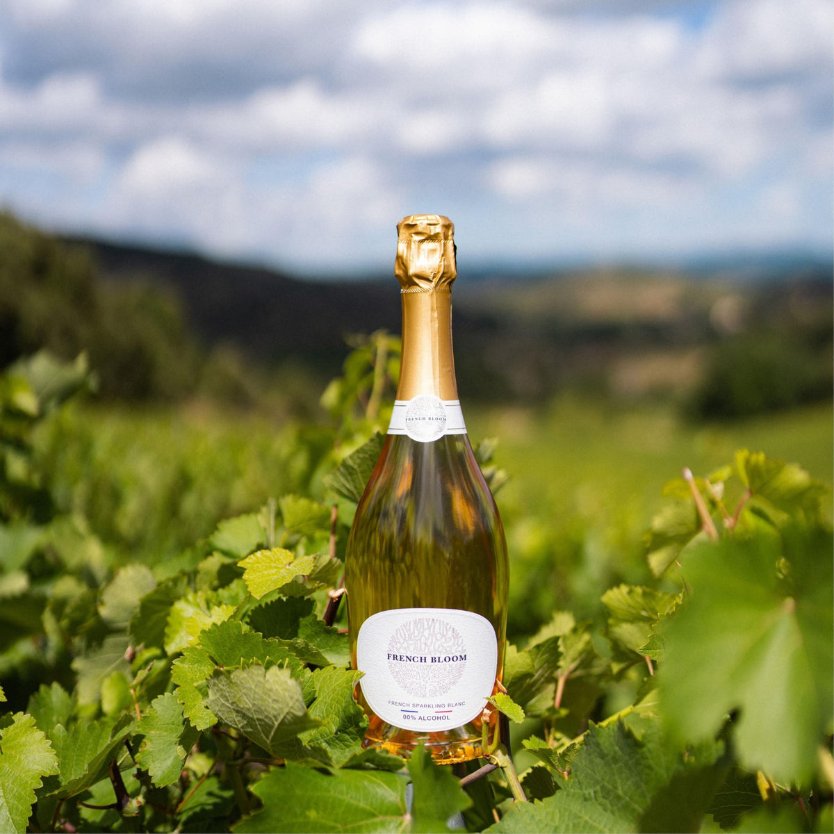 French Bloom Le Blanc Organic Alcohol-Free Sparkling Wine, 750ml | Vegan, Halal, Low Calorie