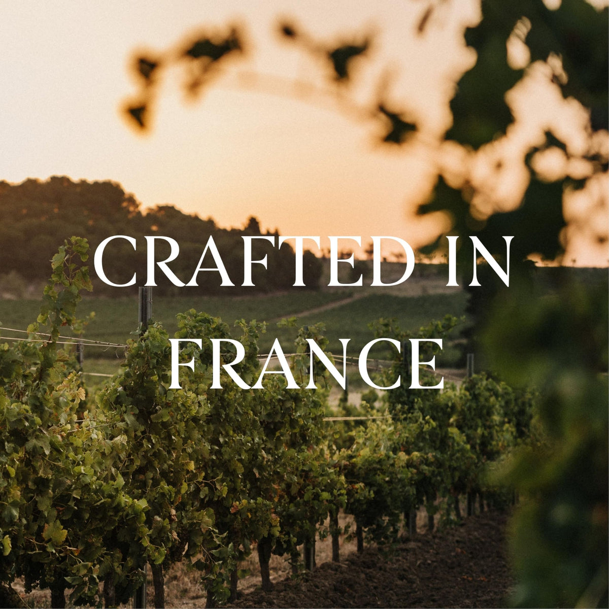 French Bloom Le Blanc Organic Alcohol-Free Sparkling Wine, 750ml | Vegan, Halal, Low Calorie