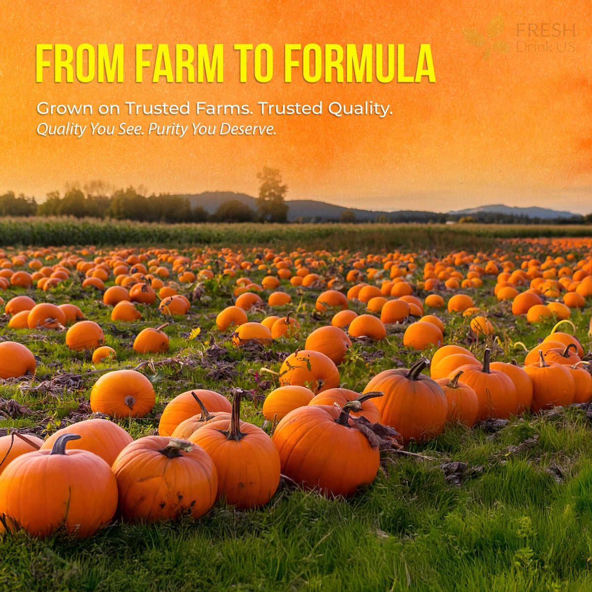FreshDrinkUS Premium 90 Pumpkin Seed Oil Gummies — 4000mg/Serving, Hair & Skin Support