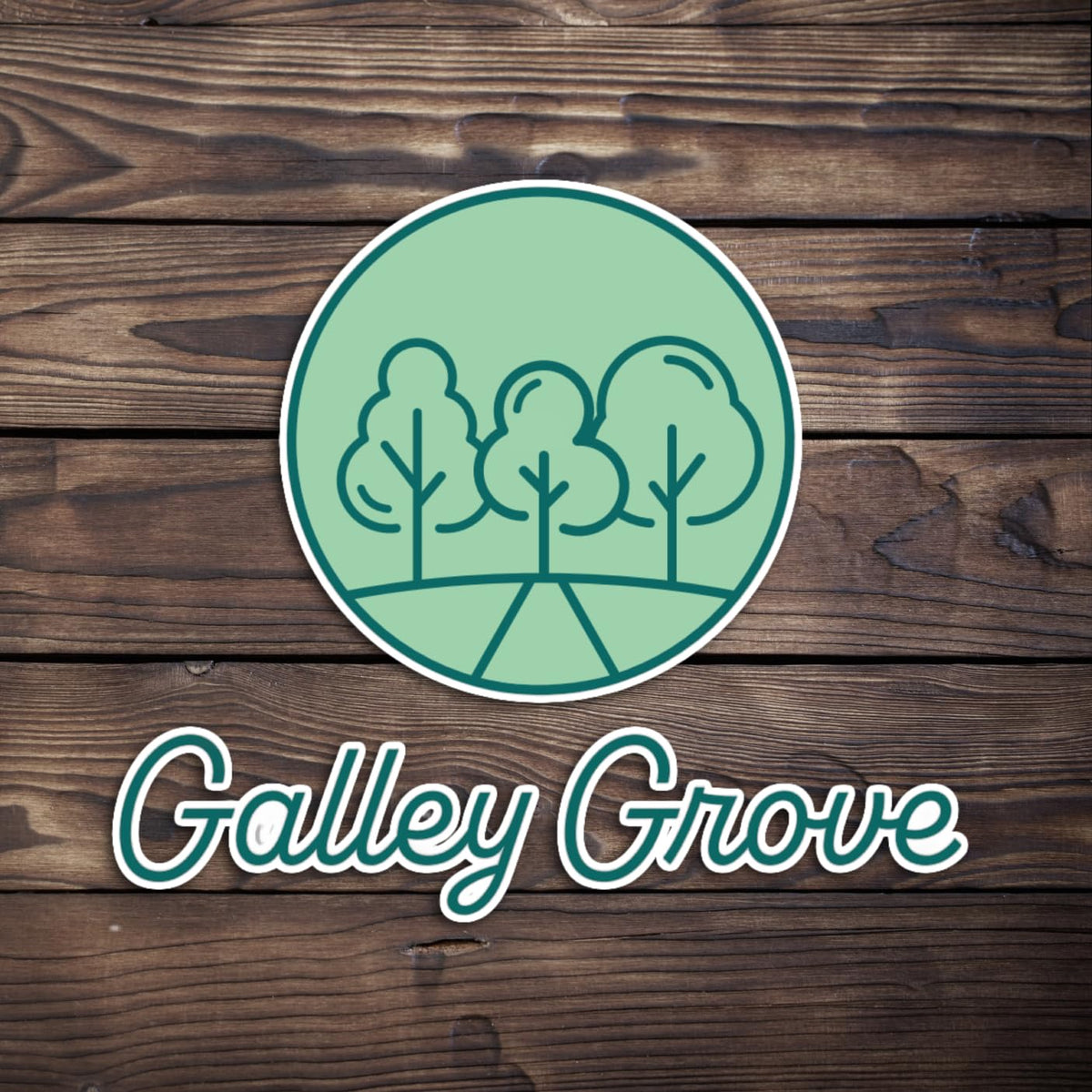 Galley Grove Mike Ike 4.25 oz Theater Box Variety Bulk (6-Pack) – Jolly Joe’s, Red Rageous, Berry Blast, Sour Watermelon, Original Fruit, Mega Mix + Sugar-Free Peppermint Mints