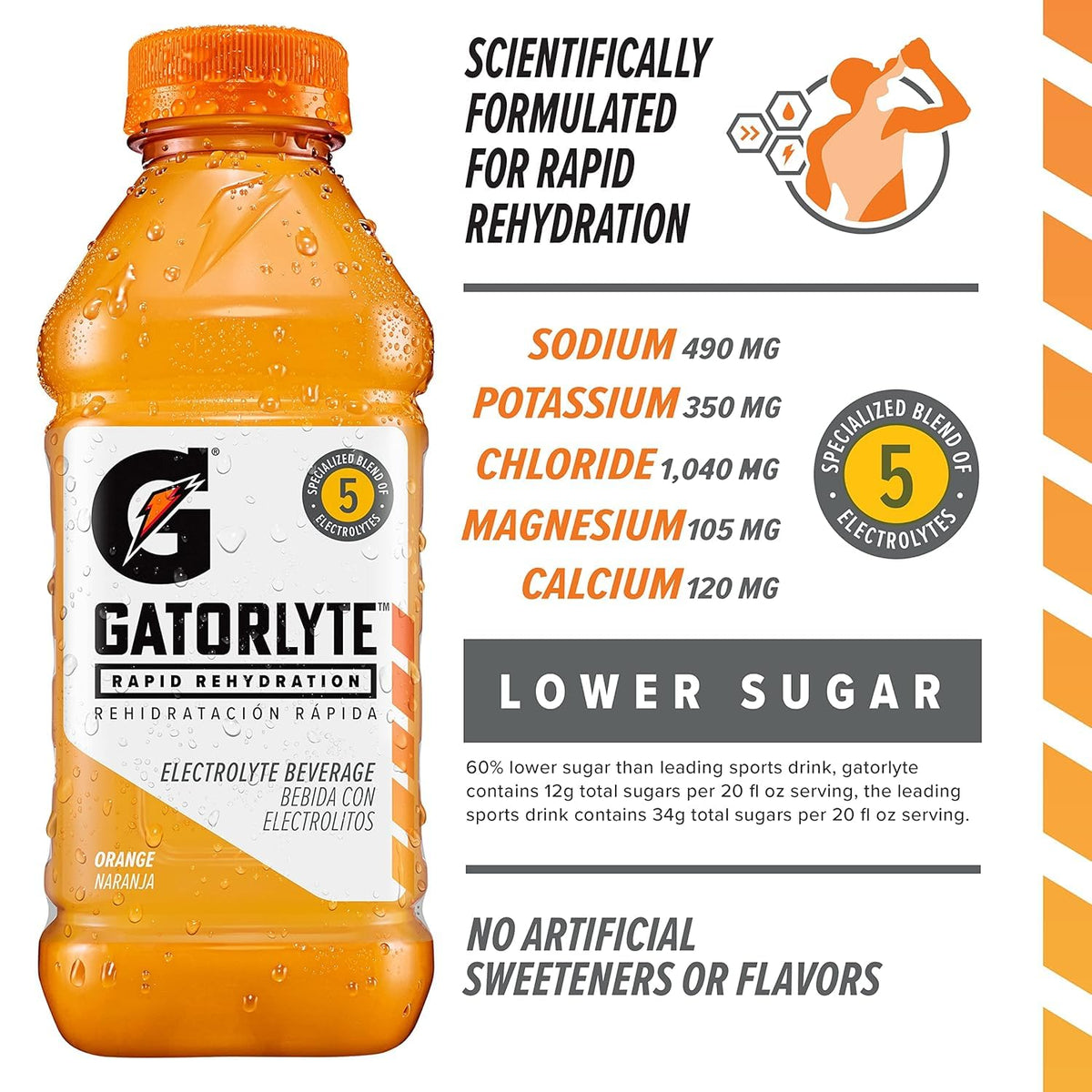 Gatorlyte Rapid Rehydration Electrolyte Drink — 12 Bottles, 3 Flavor Variety Pack, 5 Electrolytes, Low Sugar