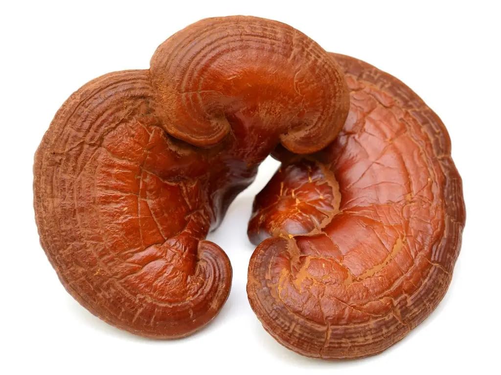 Gano Coffee with Ganoderma Mushroom – Instant 2-Pack, Rich Aroma & Smooth Taste | Generic